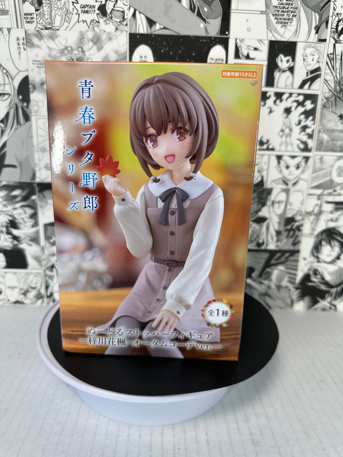 Rascal does not dream of bunny girl senpai - Kaede Azusagawa Autumn Coordinate Ver. noodle stopper