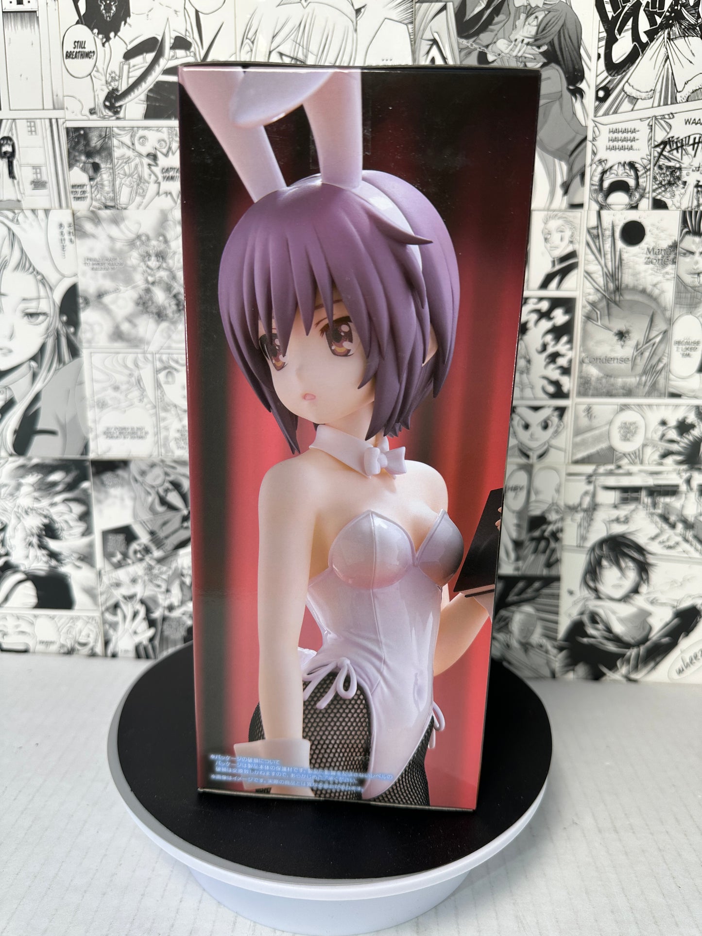 The melancholy of haruhi suzumiya - Yuki Nagato bicute bunnies