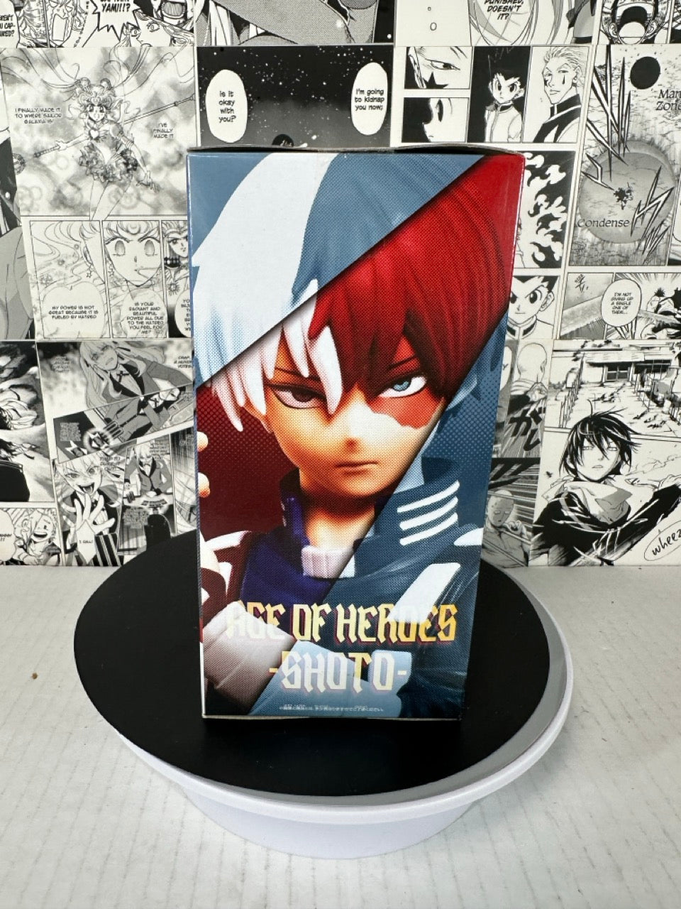 My Hero Academia - Shoto The age of heroes