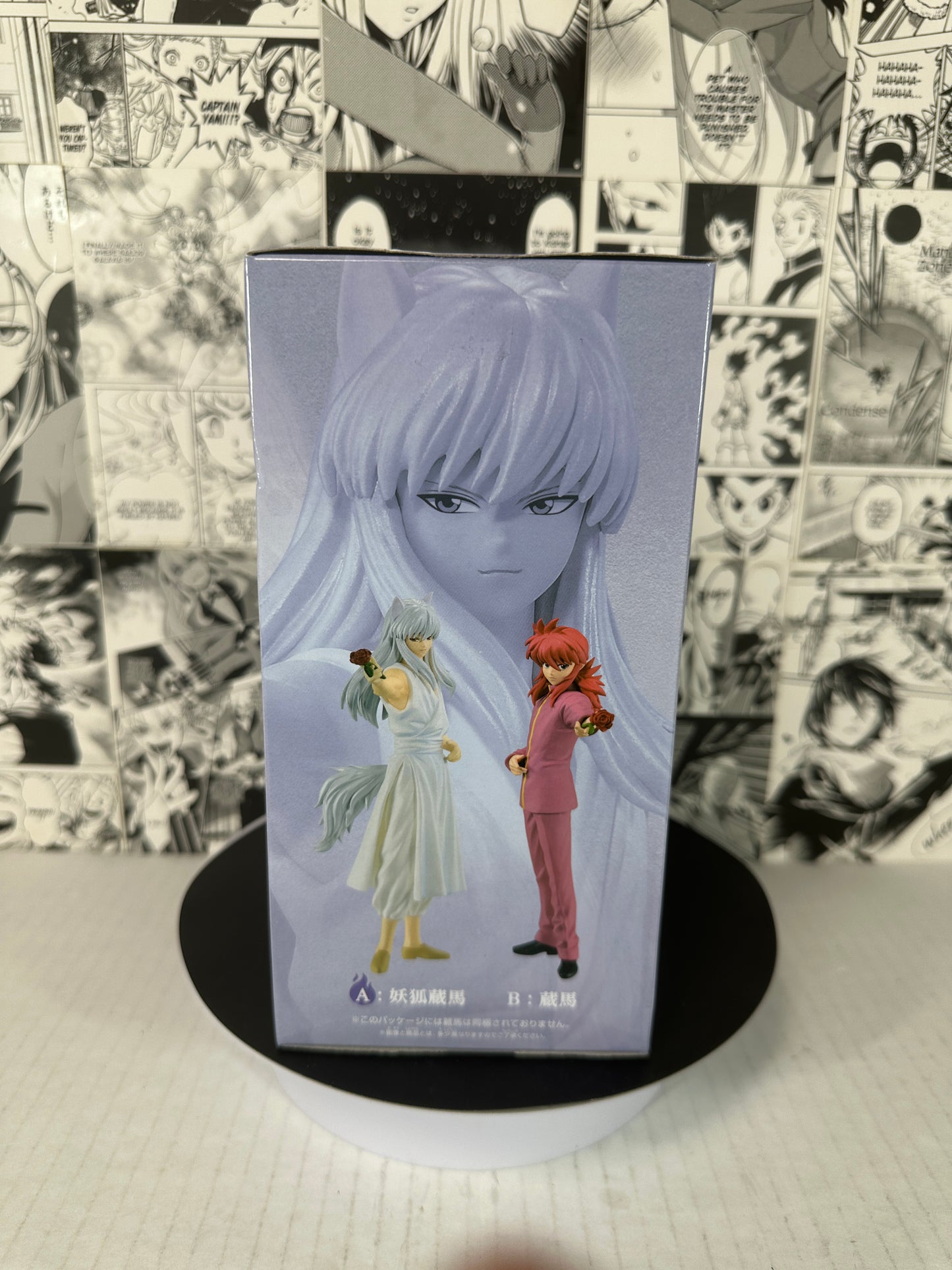 Yu Yu Hakusho - Youko Kurama DXF