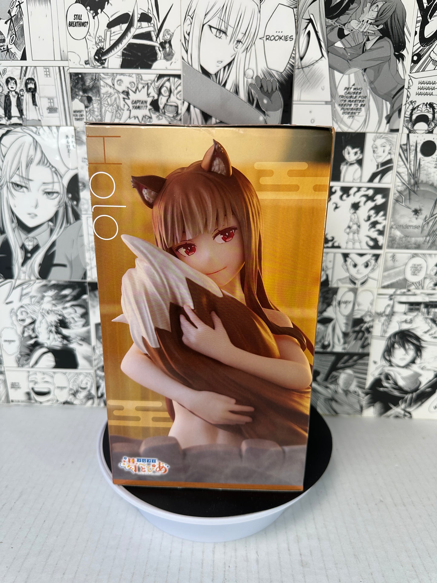 Spice and Wolf - Holo Thermae utopia