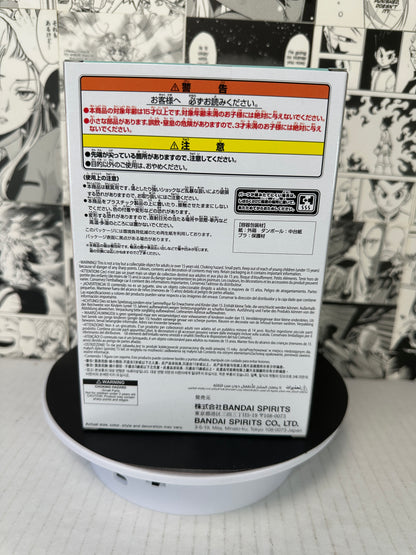 My Hero Academia - Izuku Midoriya Cheer Pico