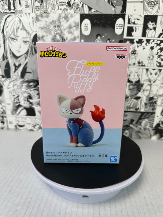 My hero academia - Shoto Cat Fluffy Puffy