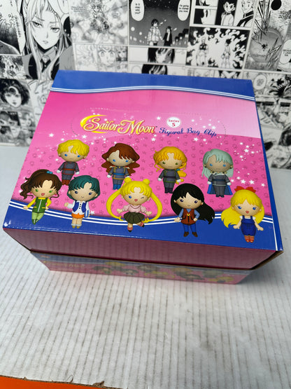 Sailor Moon - Sailor Moon 3D foam bag clip Series 5 blind bag